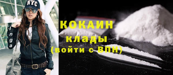 ПСИЛОЦИБИНОВЫЕ ГРИБЫ Богданович
