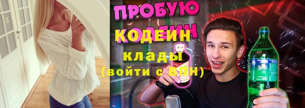ПСИЛОЦИБИНОВЫЕ ГРИБЫ Богданович
