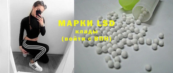 ПСИЛОЦИБИНОВЫЕ ГРИБЫ Богданович