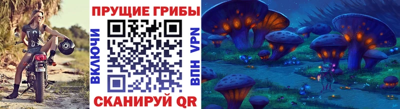 Галлюциногенные грибы ЛСД  OMG tor  Наволоки 